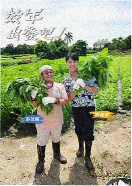 芒果TV电视剧免费看 - 哈哈农夫